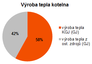 Rehabilitační ústav Kladruby -výroba tepla kotelna